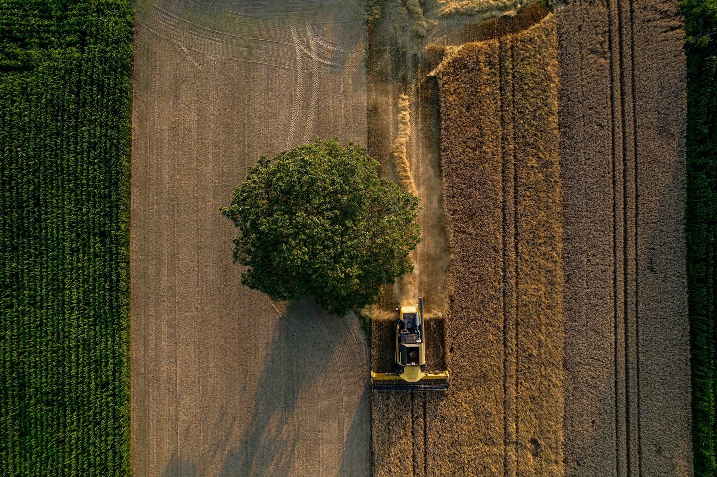 Climate-Smart Agriculture: Building Resilience in Africa
