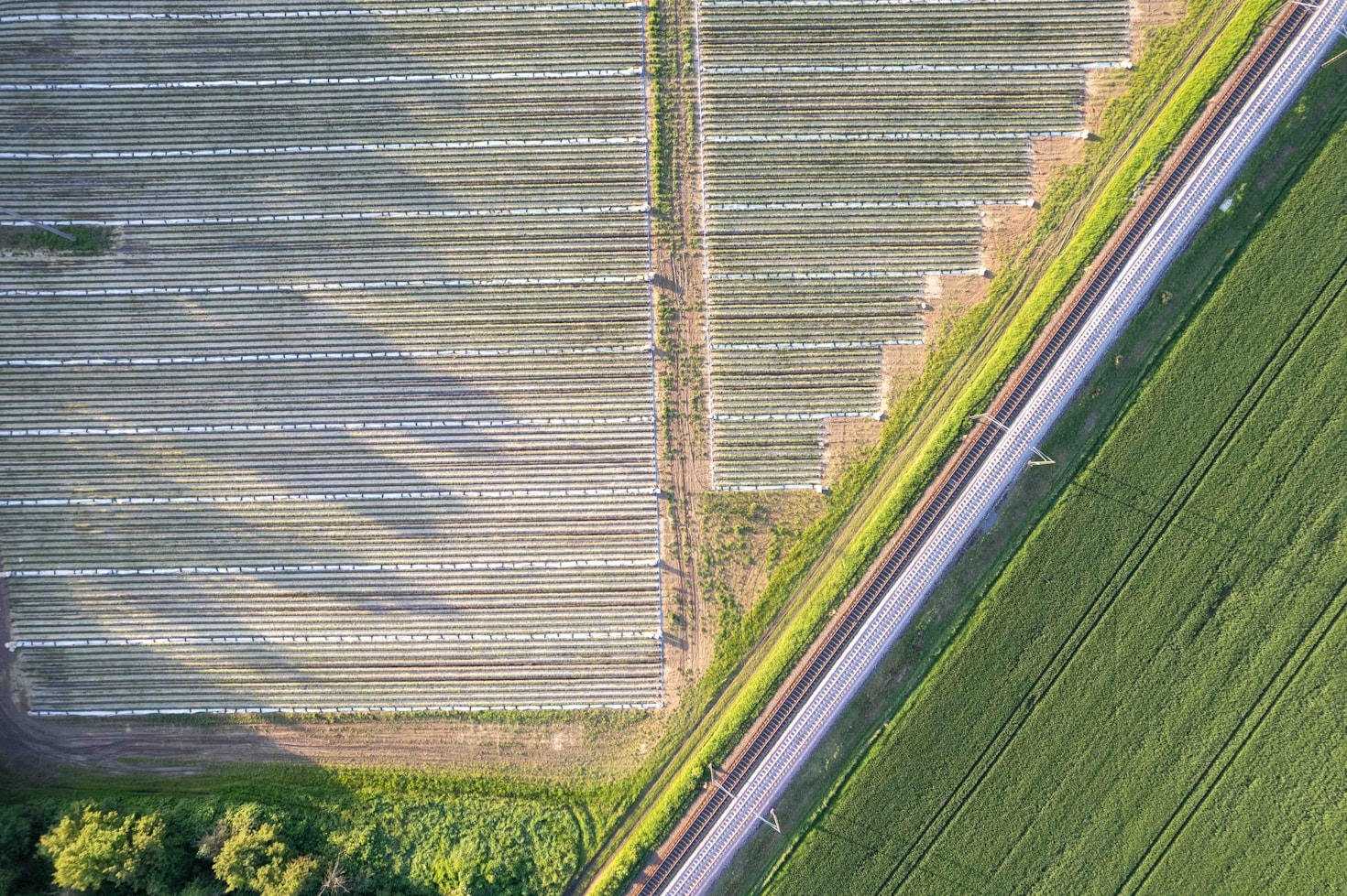 Empowering Smallholder Farmers Through Technology