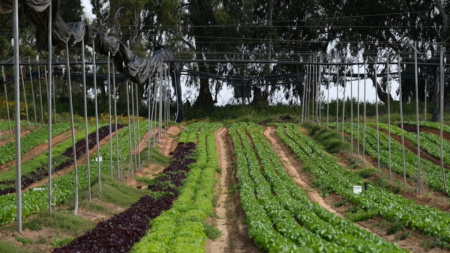 Digital Transparency: A New Era of Farming