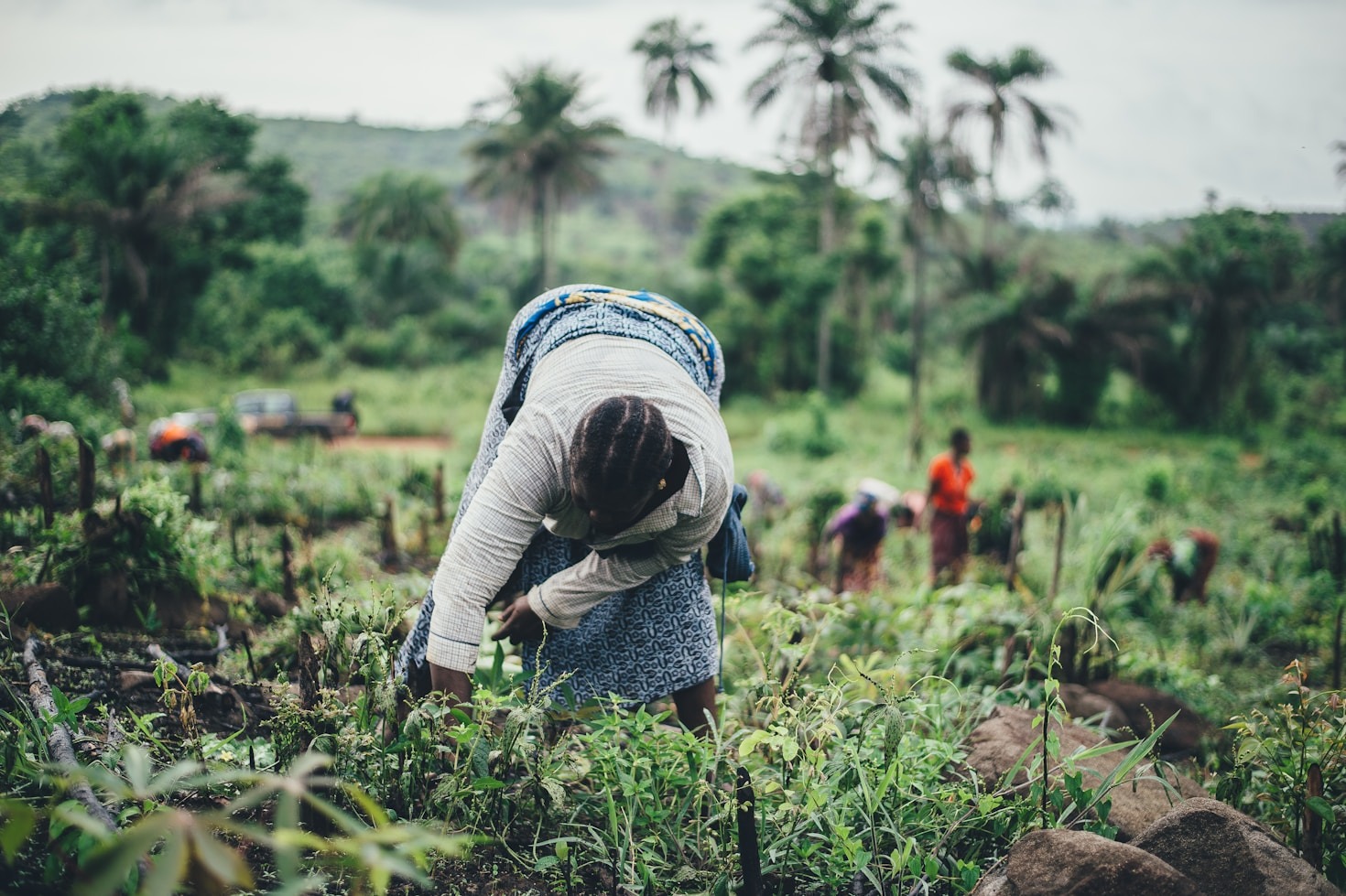 Promoting Economic Growth Through Climate-Smart Solutions